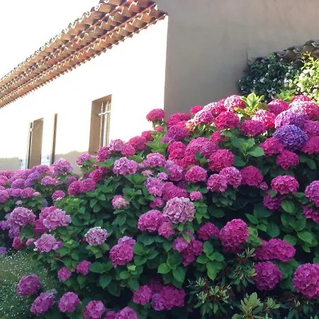 Vila La Vigne *