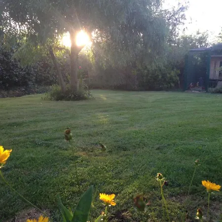 La Vigne * Cogolin