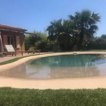 La Vigne *