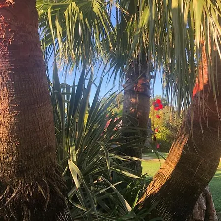 Vila La Vigne Cogolin