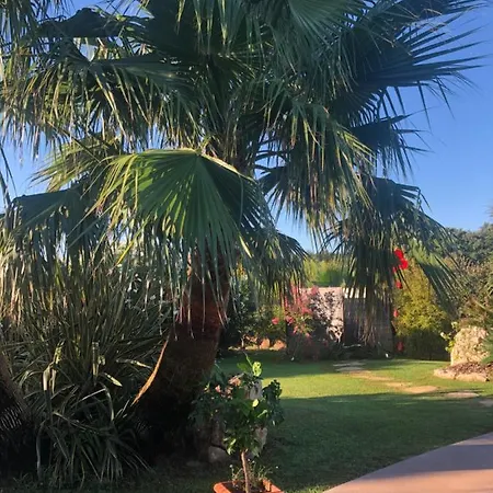 La Vigne * Cogolin