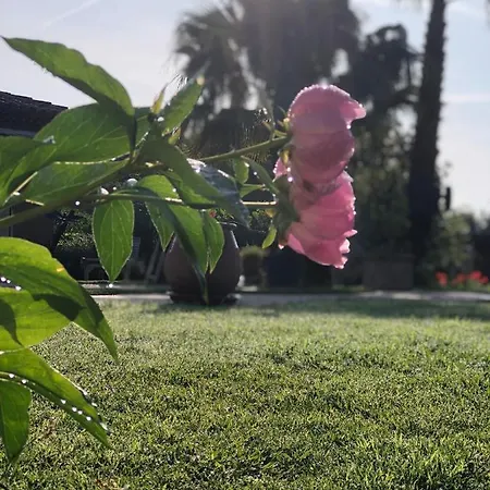 La Vigne Cogolin