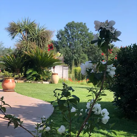 Vila La Vigne Cogolin