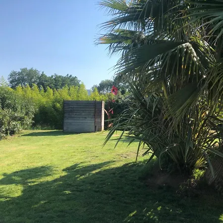 La Vigne Cogolin